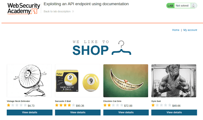 exploiting an API endpoint
